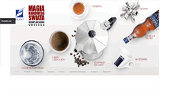 Desktop Screenshot of flint.com.pl